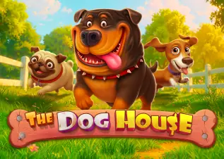 AIRI88 ดีไหม The Dog House ทดลองเล่นฟรี